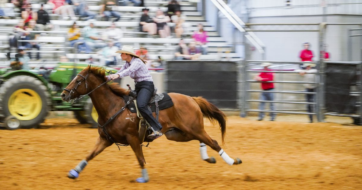 Brazos Valley Fair & Rodeo 2023 | Destination Bryan