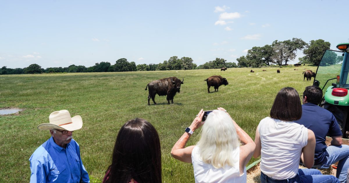 Agricultural Experiences In Bryan-College Station | Destination Bryan